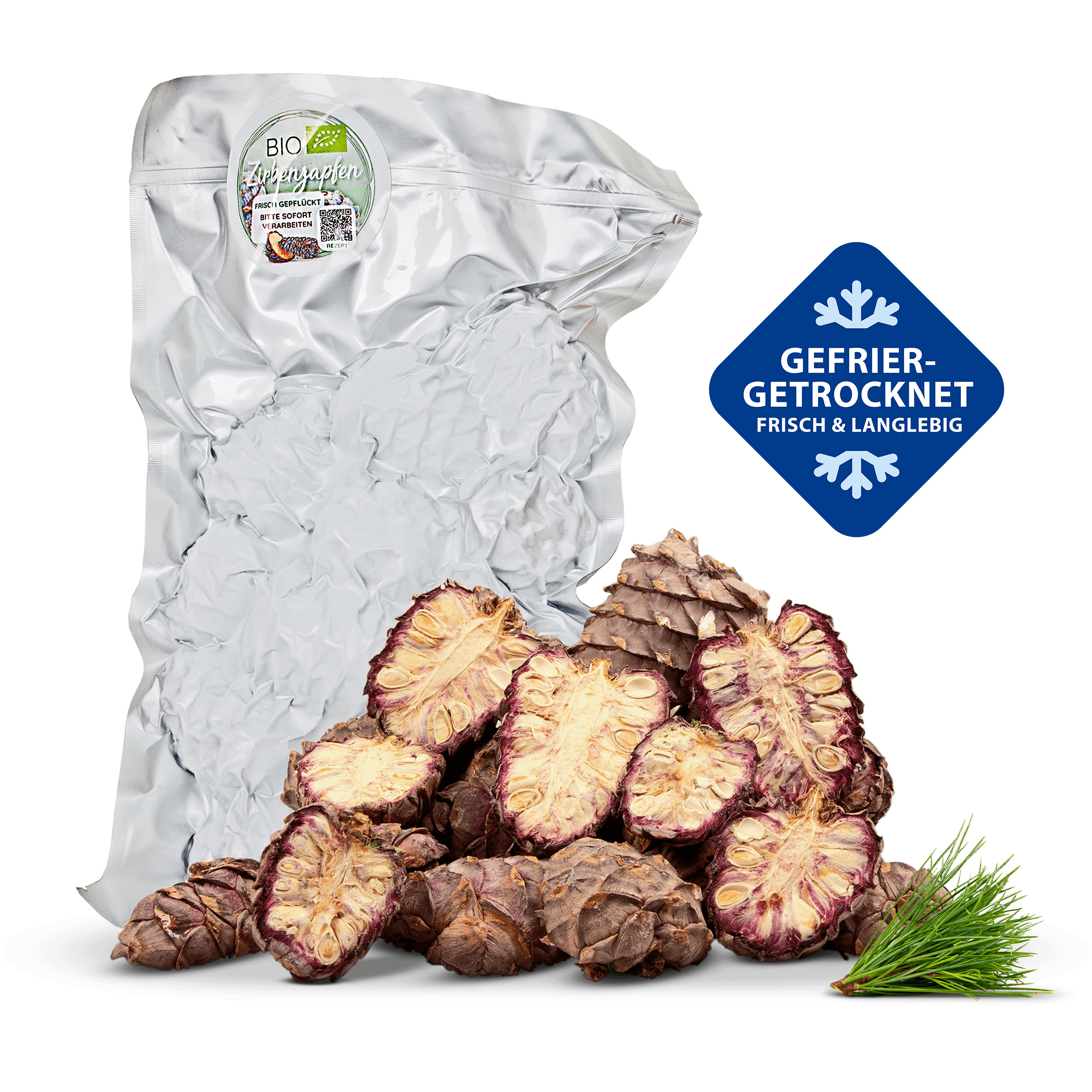 Zirbenzapfen, gefriergetrocknet